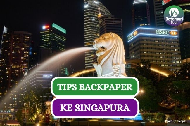 5 Tips Solo Travel ke Singapura Agar Terhindar dari Scamming